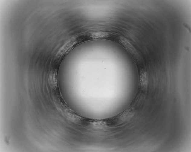 X0000102500426200808151526