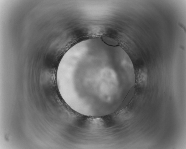 X0000102500427200808151526