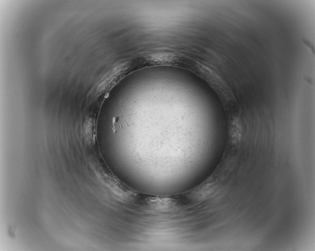 X0000102500428200808151526