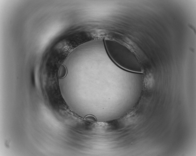 X0000102500429200808151526