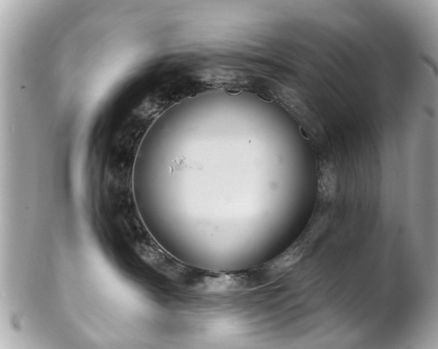 X0000102500430200808151526