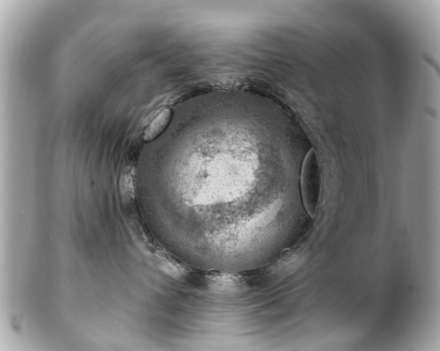 X0000102500432200808151526