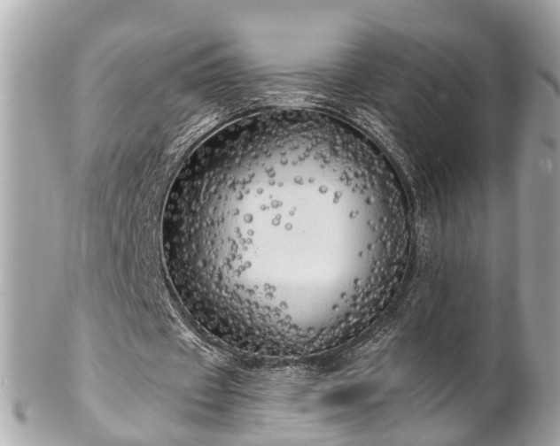 X0000102500433200808151525