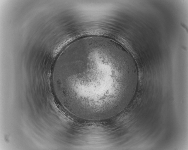 X0000102500434200808151525