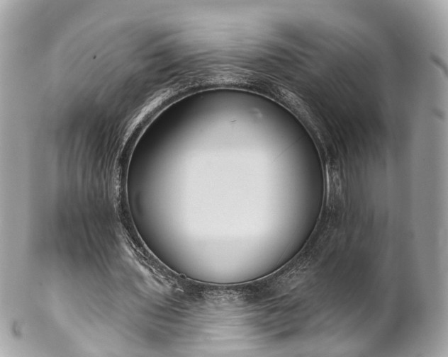 X0000102500435200808151525