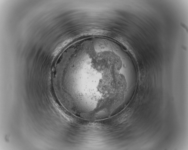 X0000102500437200808151525