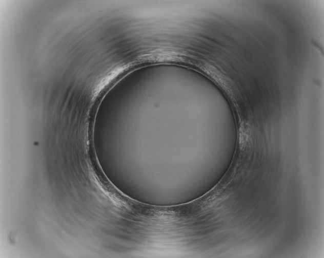 X0000102500438200808151525