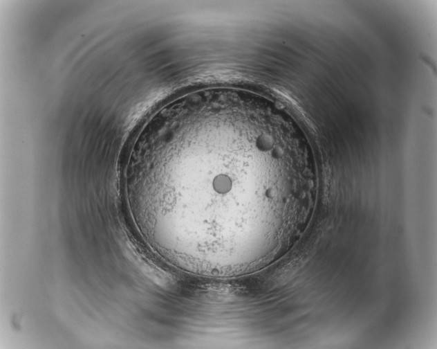 X0000102500439200808151525