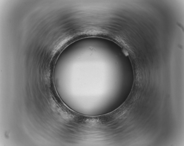 X0000102500440200808151525