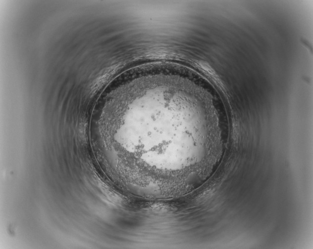 X0000102500441200808151525