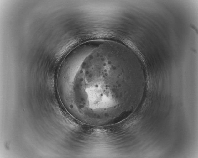 X0000102500442200808151525