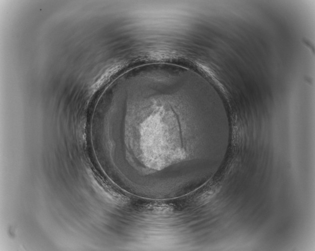 X0000102500443200808151525