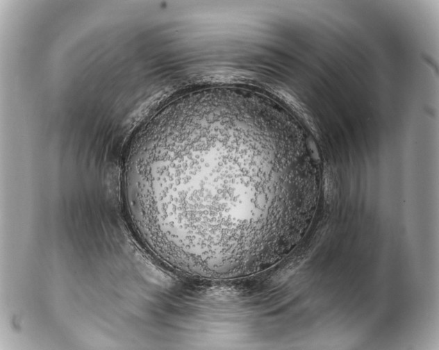 X0000102500445200808151525