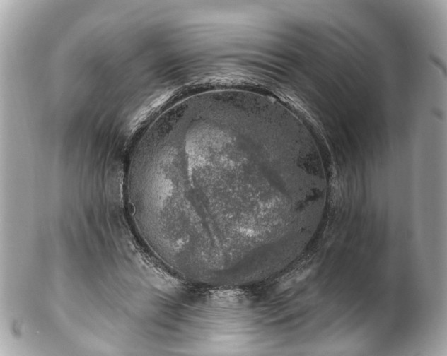 X0000102500446200808151525