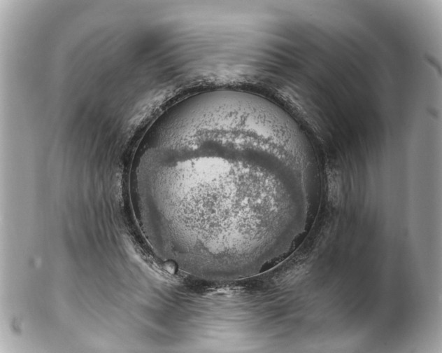 X0000102500447200808151525