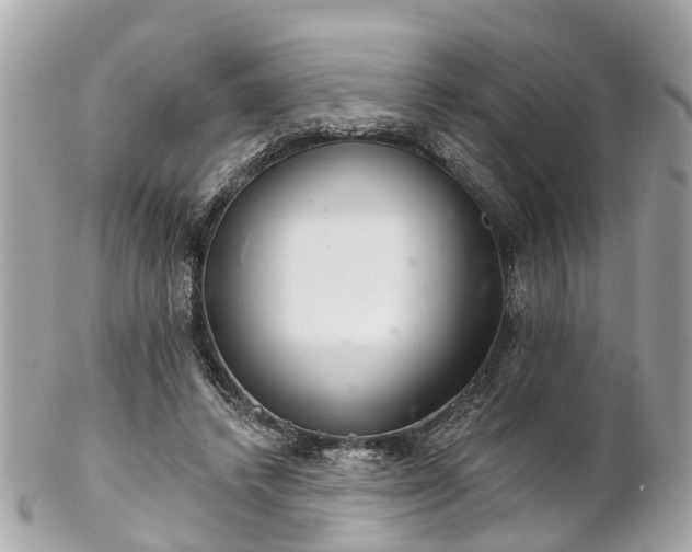 X0000102500448200808151525