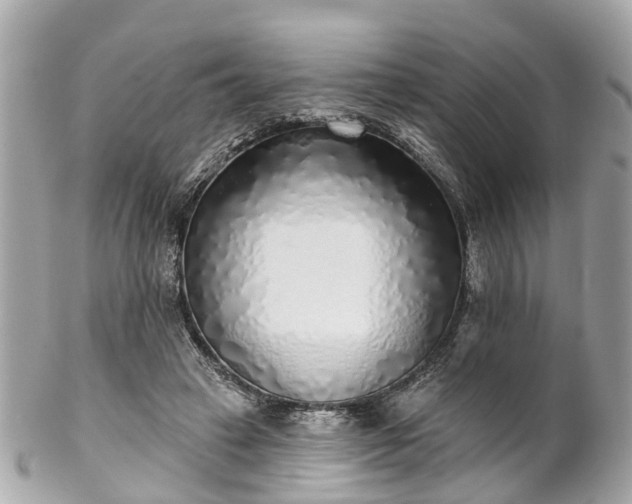 X0000102500449200808151525