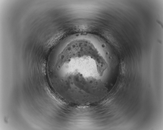 X0000102500450200808151525