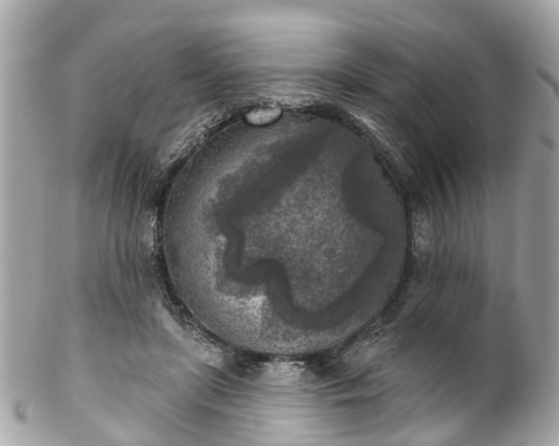 X0000102500451200808151525