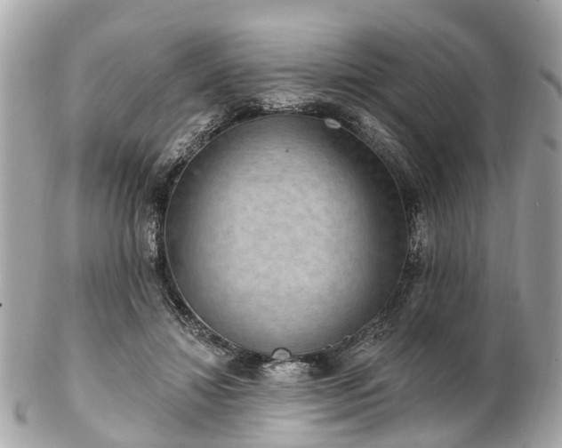 X0000102500452200808151525