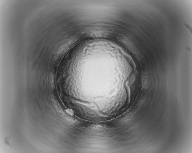 X0000102500453200808151525