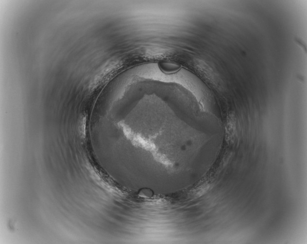 X0000102500454200808151525