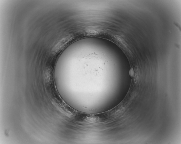 X0000102500455200808151525