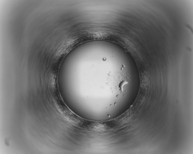 X0000102500456200808151525