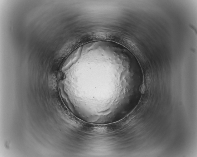 X0000102500457200808151525