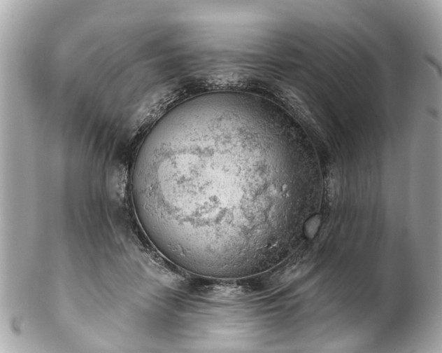 X0000102500458200808151525