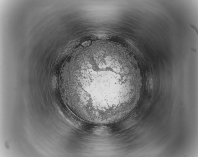 X0000102500459200808151525