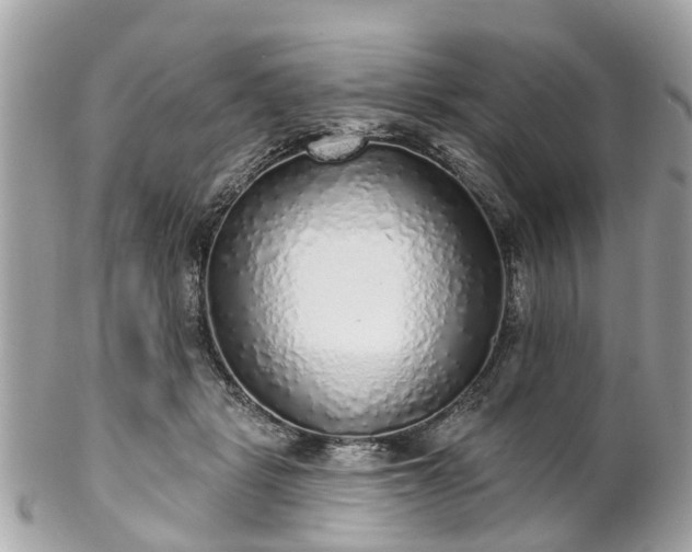 X0000102500461200808151525