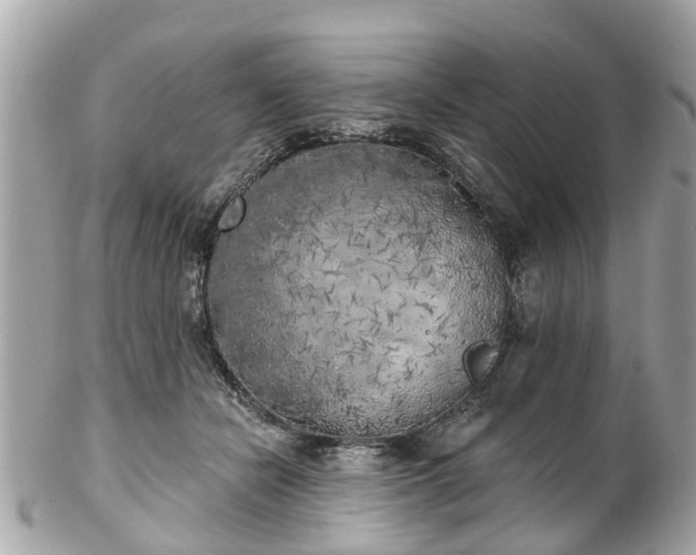 X0000102500462200808151525
