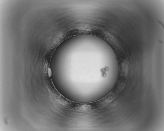 X0000102500463200808151525