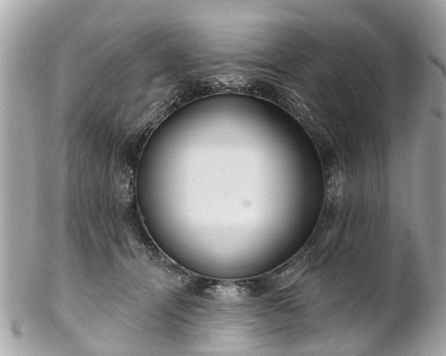 X0000102500464200808151525