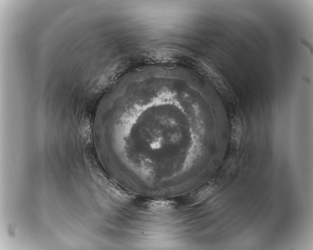 X0000102500465200808151525