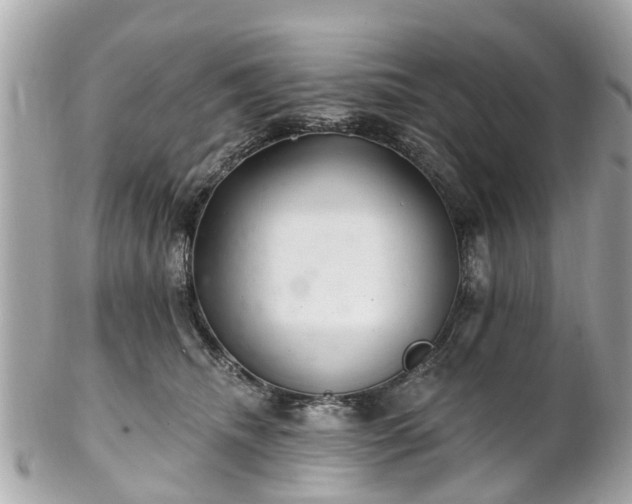 X0000102500468200808151525