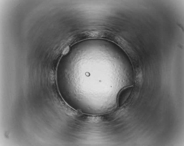 X0000102500469200808151525