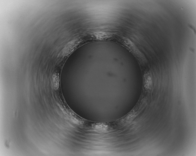 X0000102500471200808151525