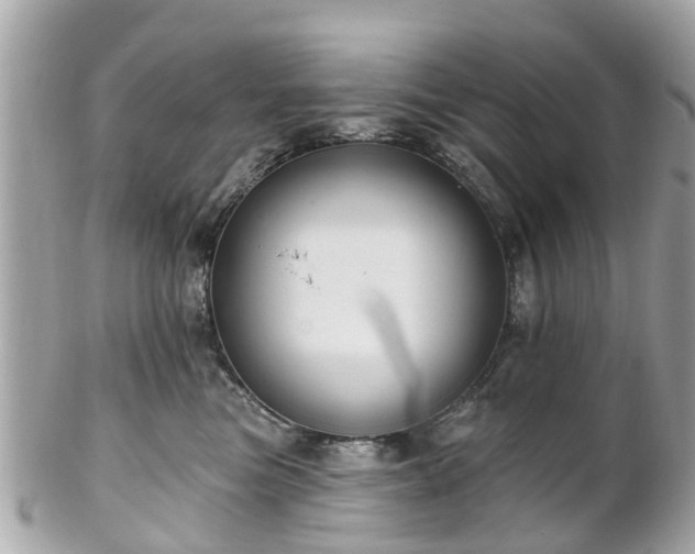 X0000102500473200808151525