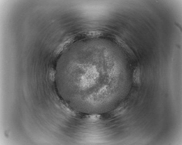 X0000102500474200808151525