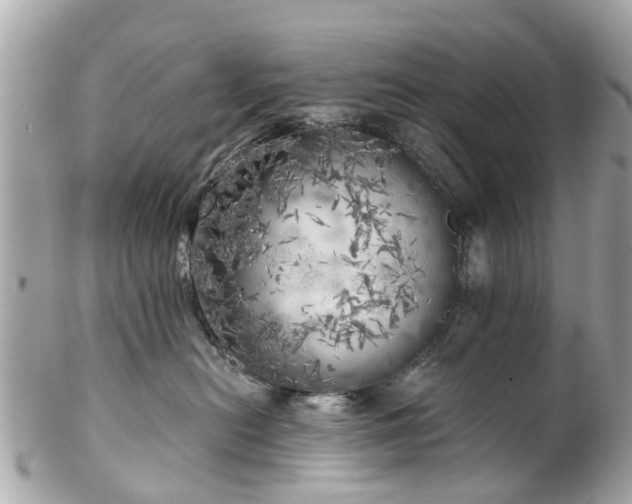 X0000102500478200808151526