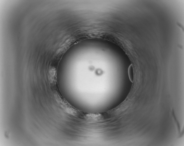 X0000102500480200808151526