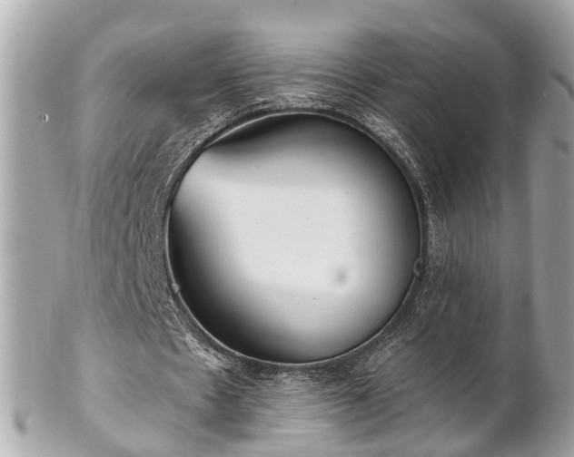 X0000102500481200808151525