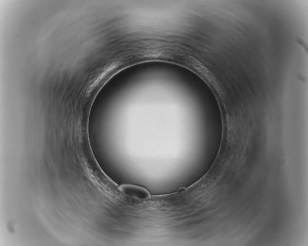 X0000102500482200808151525