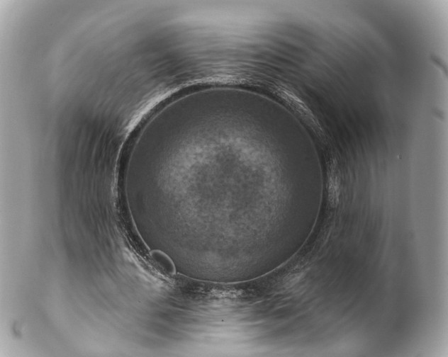 X0000102500484200808151525