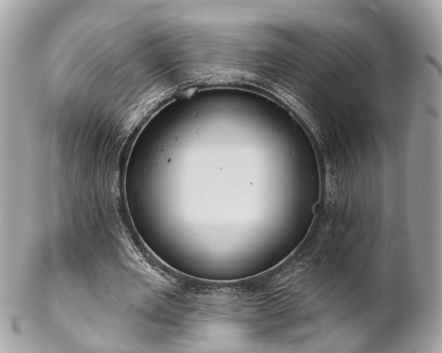 X0000102500485200808151525