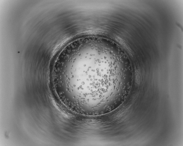 X0000102500486200808151525