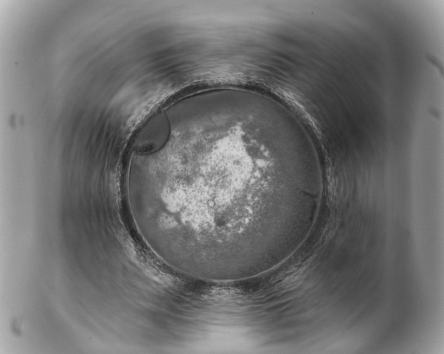 X0000102500487200808151525