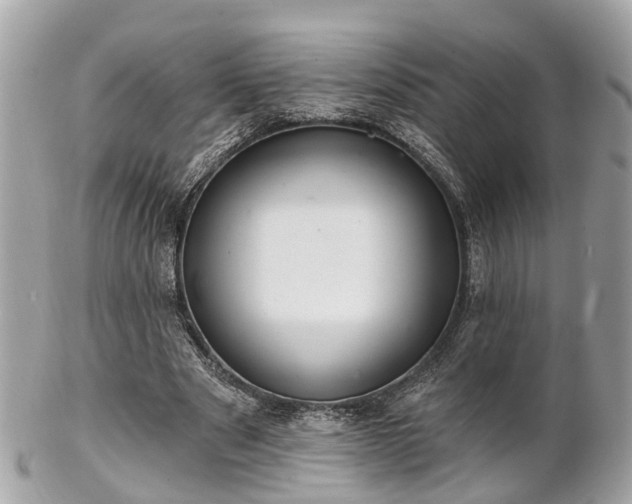 X0000102500489200808151525